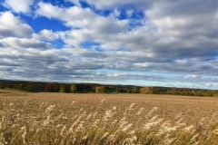 sherwoodfarmretreat_23