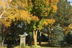 sherwoodfarmretreat_8